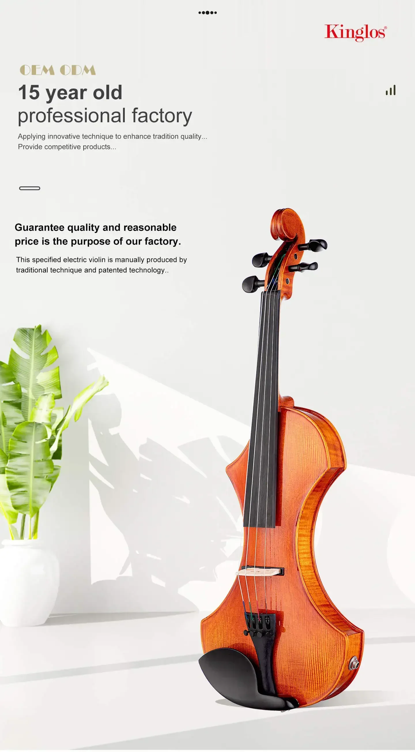 4/4 Size Electric Violin with  - đánh giá và giá Violin Rosin Bow
